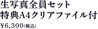 生写真全員セット特典A4クリアファイル付 6,300円（税込）